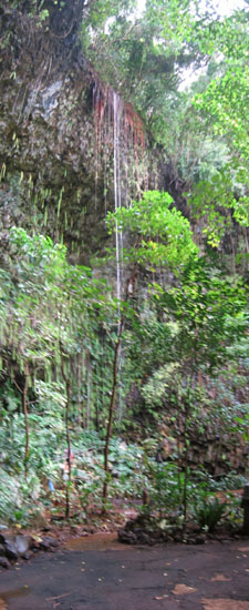 fern_grotto_waterfall
