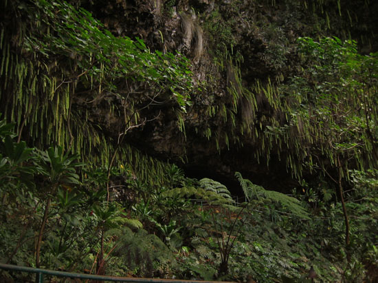 kauai_2004