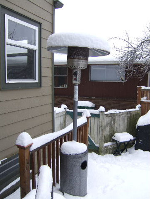 Snowy_Seattle_December2008