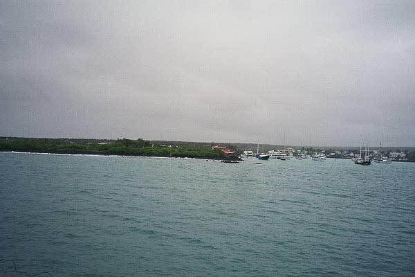 Puerto Ayora